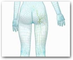 DEEP OSCILLATION&reg; has positive effects on all the cellular and molecular processes involved in the formation of cellulite. It improves the flow of blood and lymphatic fluid in all layers of the skin and reduces inflammation and oedema.  &raquo; Click to zoom ->