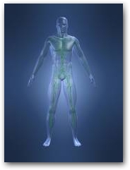 Sports Massage and Injury Rehabilitation with DEEP OSCILLATION&reg;  &raquo; Click to zoom ->