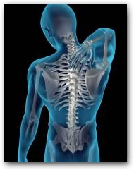 The main chiropractic treatment technique involves manual therapy, including manipulation of the spine, other joints, and soft tissues, with DEEP OSCILLATION combined the areas are prepared in advance of adjustments making the manipulations much easier and applied afterwards helping to ease muscle soreness that can occur in the days following treatment  &raquo; Click to zoom ->