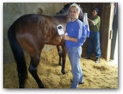 Bodo evaluates the horse and chooses the appropriate condition from the scroll menu of the DEEP OSCILLATION PERSONAL SPORTS  &raquo; Click to zoom ->