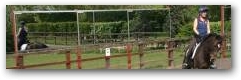 Winner achieving highest % of the Festival will receive two 8ft x 4ft Ready to Install Arena Mirrors from www.mirrorsfortraining.co.uk  &raquo; Click to zoom ->