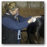 Gillian applies DEEP OSCILLATION&reg; cutting rehabilitation rates and providing outstanding results  &raquo; Click to zoom ->