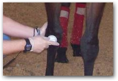 DEEP OSCILLATION&reg; Gentle, Non-invasive, Non- traumatic  &raquo; Click to zoom ->