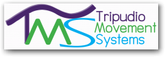 Julia Williams talks about Tripudio, a movement therapy specifically designed for the health of the lymphatic system.  &raquo; Click to zoom ->