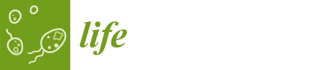 life logo