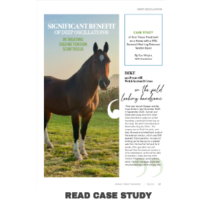 Significant Benefit of DEEP OSCILLATION® in Treating Equine Tendon Scar Tissue