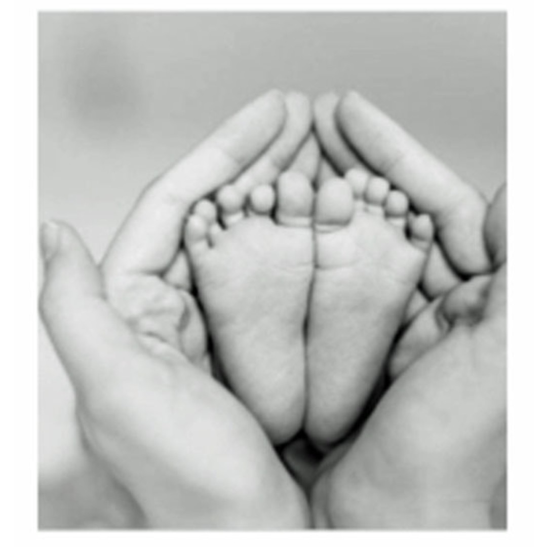 logo sarah barron baby feet in adult hands